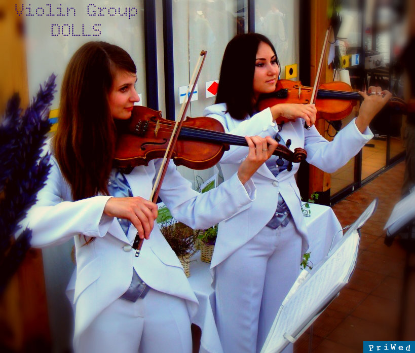  Violin Group DOLLS,   