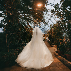 Невеста в оранжерее