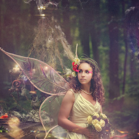 Wedding Fairy