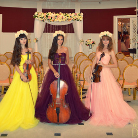 Выездная регситрация брака - струнное трио Violin Group DOLLS